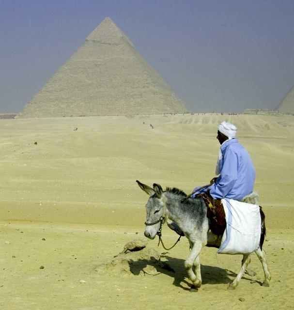 Giza Pyramids IMGP4535.jpg